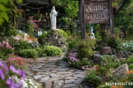15 Unusual Witchy Garden Junk Ideas