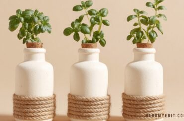 20 Genius DIY Hydroponic Bottle Garden Ideas